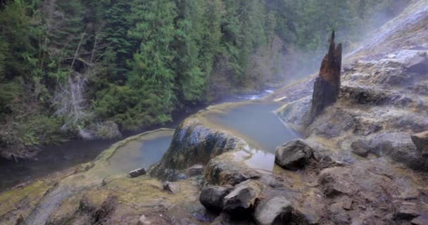 Riacho Água Quente Está Fluindo Por Uma Encosta Rochosa Água — Vídeo de Stock