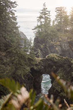 Güney OregonCoast 'taki Doğal Köprüler. Samuel H Boardman Sahne Koridoru 'nun bir parçası.