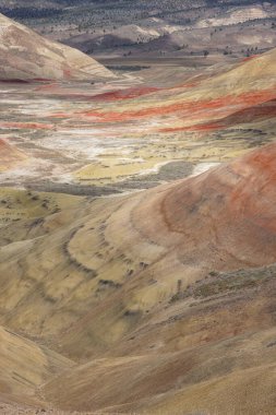 Doğu Oregon 'daki Boyalı Tepeler' in güzel ve renkli manzarası, John Day yakınlarında..