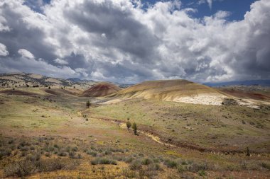 Doğu Oregon 'daki Boyalı Tepeler' in güzel ve renkli manzarası, John Day yakınlarında..