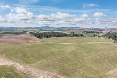 Uzakta birkaç ağaç ve birkaç ev olan büyük bir tarla. Gökyüzü birkaç bulutla daha açık.