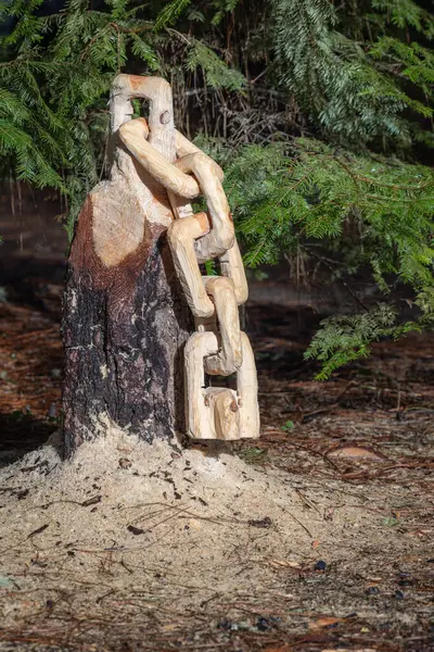 Chain Carved Tree Stump Saw Dust Ground Scene Peaceful Serene — Stockfoto