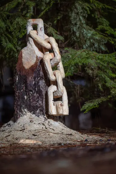 Chain Carved Tree Stump Saw Dust Ground Scene Peaceful Serene — Stock Photo, Image