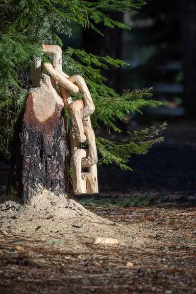 Uma Corrente Esculpida Toco Árvore Com Serra Chão Cena Pacífica Fotos De Bancos De Imagens