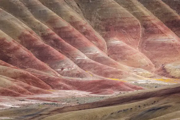 Beautiful Colorful Landscape Painted Hills Eastern Oregon John Day Royalty Free Stock Photos