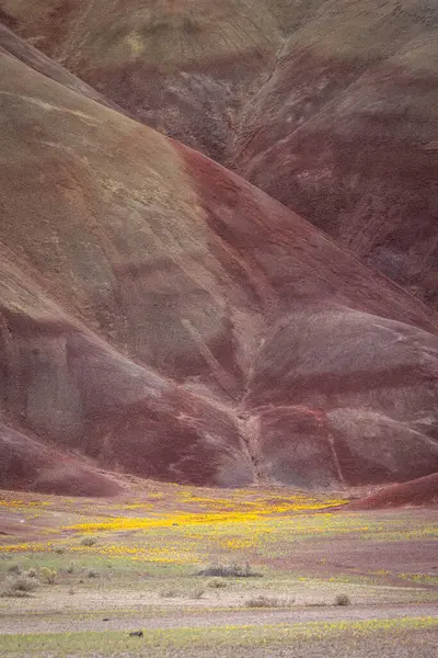 ジョン デイ近くのオレゴン州東部の塗装された丘の美しくカラフルな風景 ストック画像