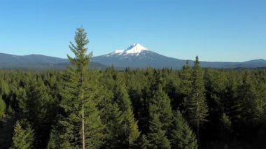 Uzakta bir dağ sırası görülebilir ve ön planda ağaçlardan oluşan bir orman vardır. Gökyüzü açık ve mavi, ağaçlar uzun ve yeşil. Sahne huzurlu ve sakin, dağlarla birlikte.
