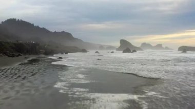 Arka planda açık mavi gökyüzü olan bir ormanda bir ağaç tek başına duruyor.