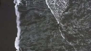 Arka planda açık mavi gökyüzü olan bir ormanda bir ağaç tek başına duruyor.