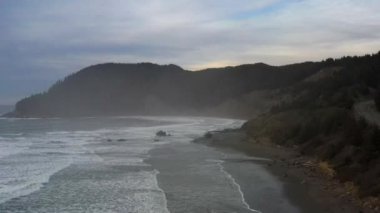 Arka planda açık mavi gökyüzü olan bir ormanda bir ağaç tek başına duruyor.