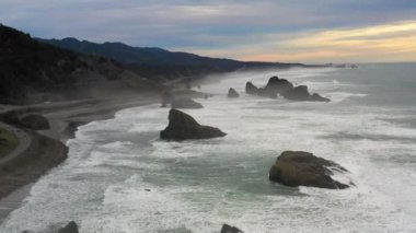 Arka planda açık mavi gökyüzü olan bir ormanda bir ağaç tek başına duruyor.