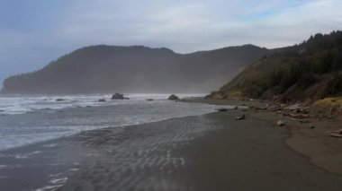 Arka planda açık mavi gökyüzü olan bir ormanda bir ağaç tek başına duruyor.