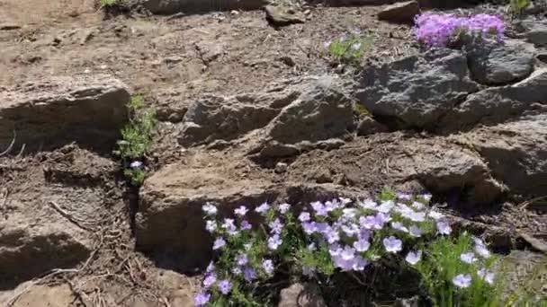 오레곤 남부의 유니언 Union Peak 하이킹의 크레이터 레이크 스톡 비디오