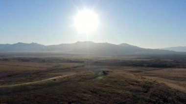 Güney Oregon ormanındaki bir çam böceğinin yakınına..