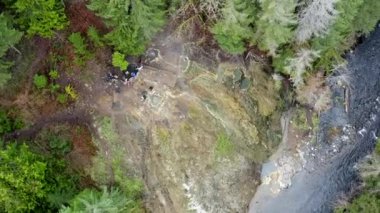Güney Oregon ormanındaki bir çam böceğinin yakınına..