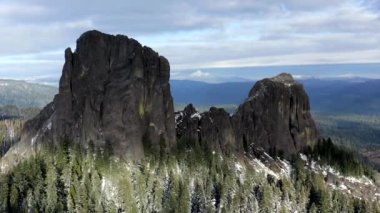 Güney Oregon ormanındaki bir çam böceğinin yakınına..