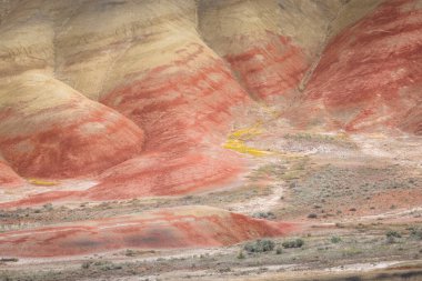 Doğu Oregon 'daki Boyalı Tepeler' in güzel ve renkli manzarası, John Day yakınlarında..