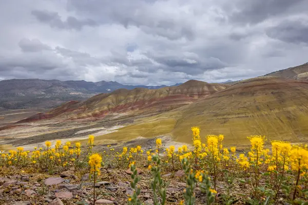 Doğu Oregon Daki Boyalı Tepeler Güzel Renkli Manzarası John Day Stok Resim