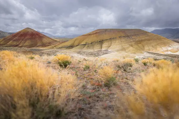 Doğu Oregon Daki Boyalı Tepeler Güzel Renkli Manzarası John Day Telifsiz Stok Imajlar