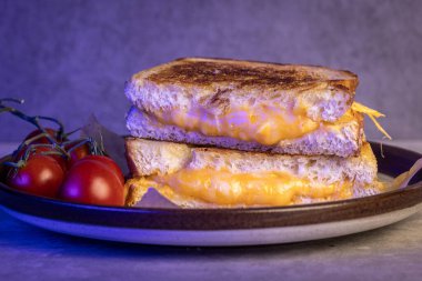 İçinden erimiş peynir damlayan ızgara peynir. Sandviç ikiye bölündü ve yemeye hazır..