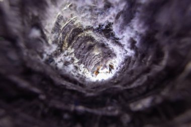 Kurutma makinesinin içindeki tiftik birikintisinin yakın plan görüntüsü, ev içinde yangın tehlikesini vurguluyor. Fotoğrafta havalandırma borusunda birikmiş toz, lif ve enkaz birikintileri görülüyor. Düzenli bakım ve temizliğin önemini vurguluyor..