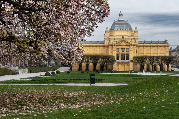 Цвіт Навесні Перед Павільйоном Мистецтва Загребі — стокове фото