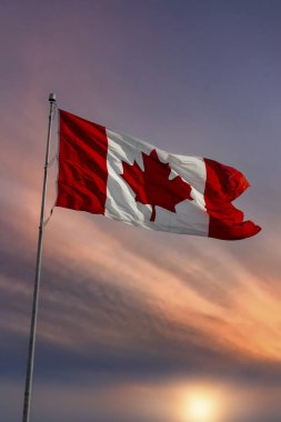 Kanada bayrağı günbatımında rüzgarda dalgalanıyor