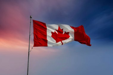 Kanada bayrağı karamsar gökyüzüne karşı rüzgarda dalgalanıyor