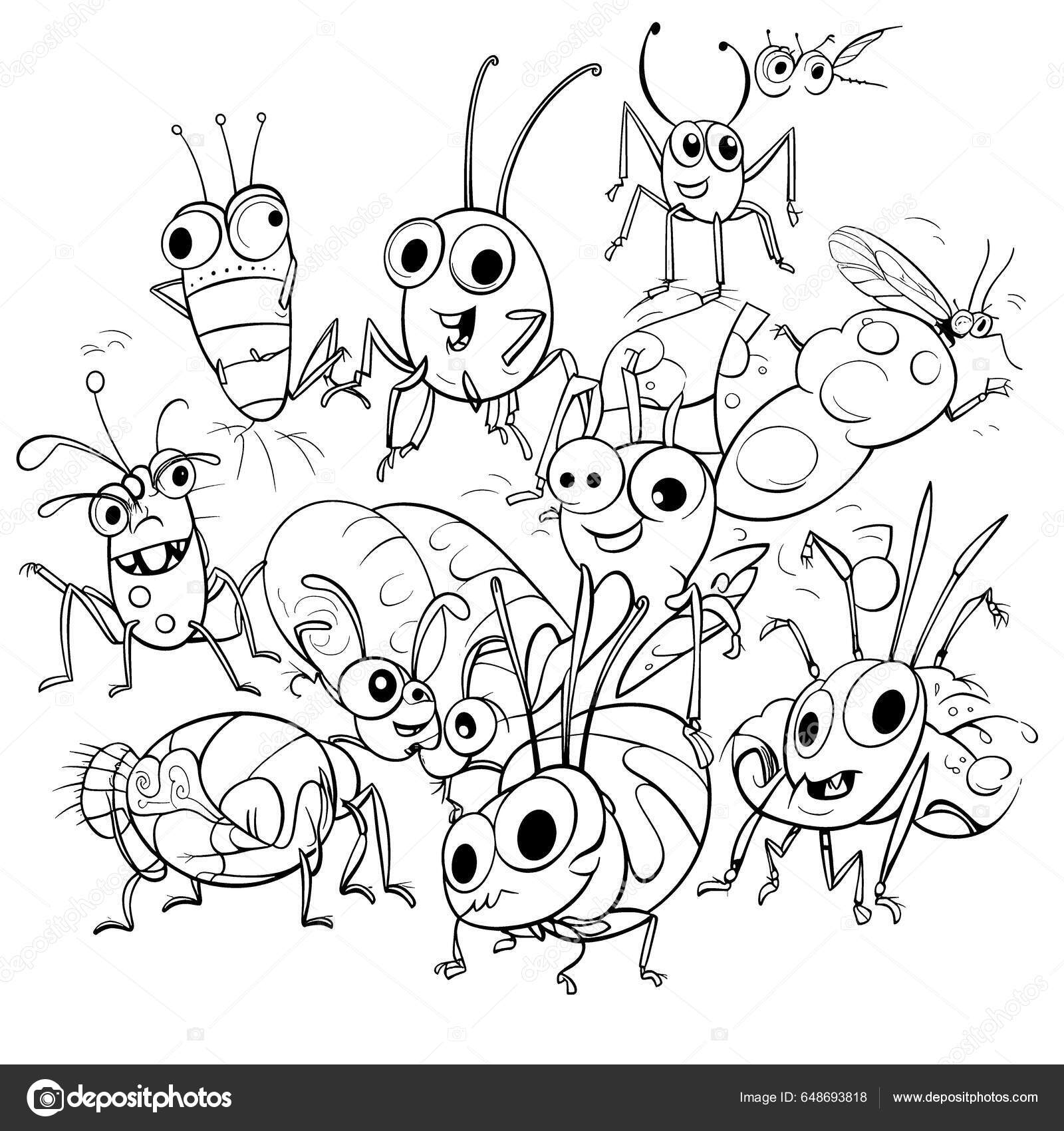 Insekt Sort Hvid Farve Sider Til Børn Enkle Linjer Tegneserie ...