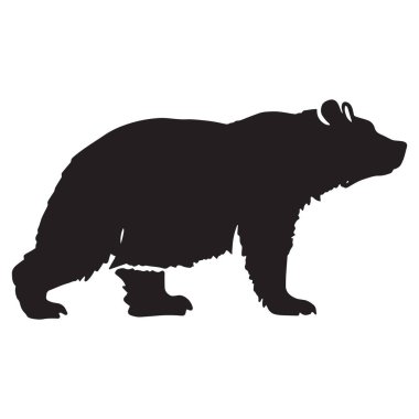 Beyaz arka planda izole edilmiş, güçlü duruşunu ve doğal hareketini basit bir tasarımla sergileyen yürüyen bir ayının silueti..