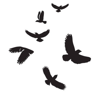 Uçan bir kuş sürüsünün siluetleri beyaz bir arka planda izole edilmiş, özgürlüğün, birliğin ve doğal hareketin özünü yakalıyorlar..