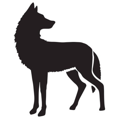 Bir tilki silueti beyaz bir arka planda izole edilmiş, tetikte duruyor, keskin özelliklerini ve keskin ifadesini vurguluyor.