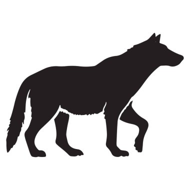 Bir tilki silueti beyaz bir arka planda izole edilmiş, tetikte duruyor, keskin özelliklerini ve keskin ifadesini vurguluyor.