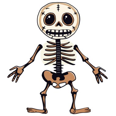 Çizgi film iskeleti, neşeli bir ifade, abartılı özellikler ve oyuncu tasarım içeriyor. Cadılar Bayramı veya eğitici temalar için ideal