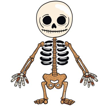 Yuvarlak kafalı, büyük gözlü, neşeli ifadeli, detaylı kemikleri ve basit tasarımı olan bir karikatür iskeleti. Cadılar Bayramı veya eğitici temalar için mükemmel