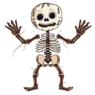 Abartılı özellikleri ve neşeli duruşu olan sevimli bir karikatür iskeleti, Cadılar Bayramı veya eğitim temaları için mükemmel.
