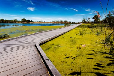 Güzel Güneşli Öğleden Sonra Bataklık İskelesi sahnesi