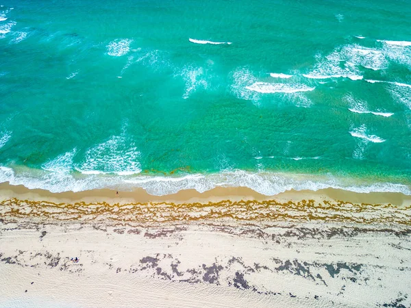Phipps Ocean Park Ibis Isle West Palm Beach Florida Usa — стокове фото