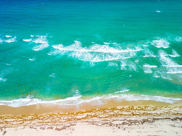 Phipps Ocean Park Ibis Isle West Palm Beach Florida Amerikai — Stock Fotó