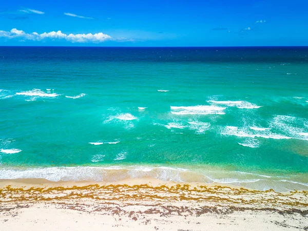 Phipps Ocean Park Ibis Isle West Palm Beach Florida — Foto de Stock