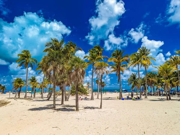 アメリカ マイアミのキービスケインの美しいCrandon Parkビーチ — ストック写真