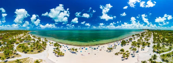 Beautiful Crandon Park Beach Key Biscayne Miami Usa — стокове фото
