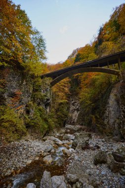 Sonbaharda bir dağ ırmağının vadisiyle manzara