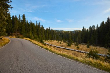 Romanya 'nın Bucegi Dağları' ndaki güzel sonbahar manzarası