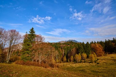 Romanya 'nın Bucegi Dağları' ndaki güzel sonbahar manzarası