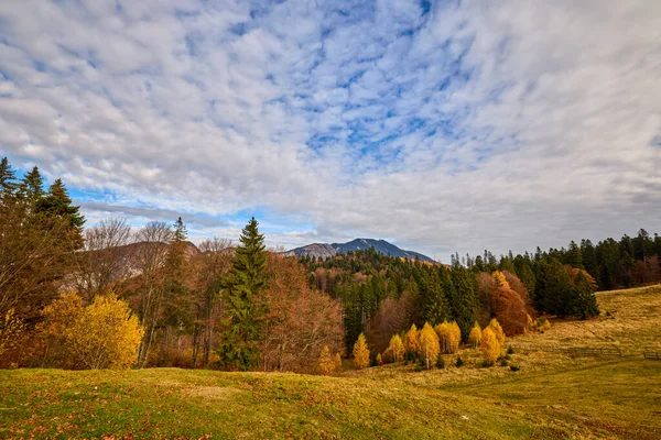 Piękny Górski Jesienny Krajobraz Górach Bucegi Rumunia — Zdjęcie stockowe