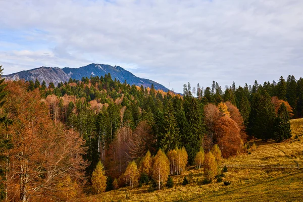 Осенний Горный Пейзаж Бучеджи — стоковое фото