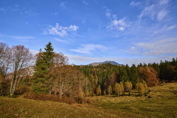 ブエギ山脈の美しい山の秋の風景ルーマニア — ストック写真