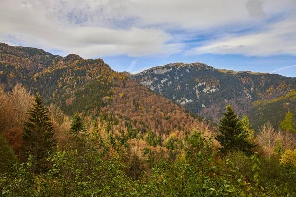 Hermoso Paisaje Otoño Montaña Las Montañas Bucegi Rumania —  Fotos de Stock