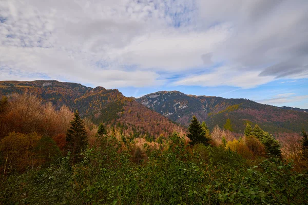 루마니아 산맥의 아름다운 — 스톡 사진